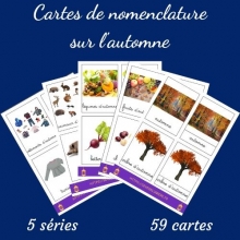 Cartes De Nomenclature Automne Cartes De Nomenclature Automne