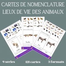 CARTES NOMENCLATURE ANIMAUX - Dictionnaire des animaux